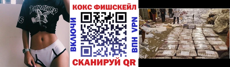 kraken как войти  Инза  Кокаин Fish Scale 