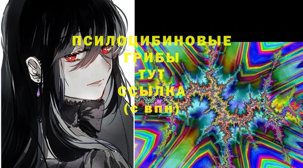 молекула духа Нягань