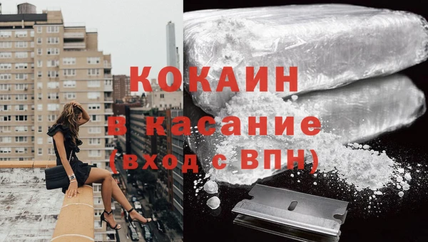 дживик Осинники