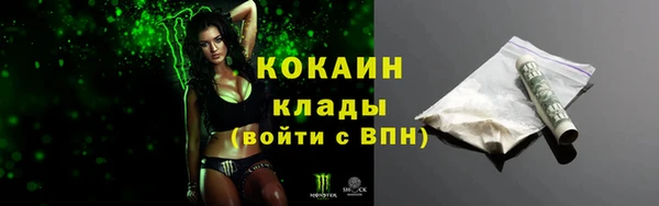 дживик Осинники