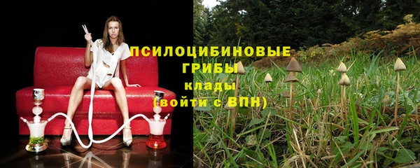 дживик Остров
