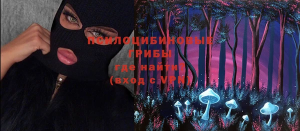 дживик Осинники