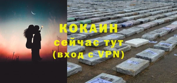 дживик Осинники