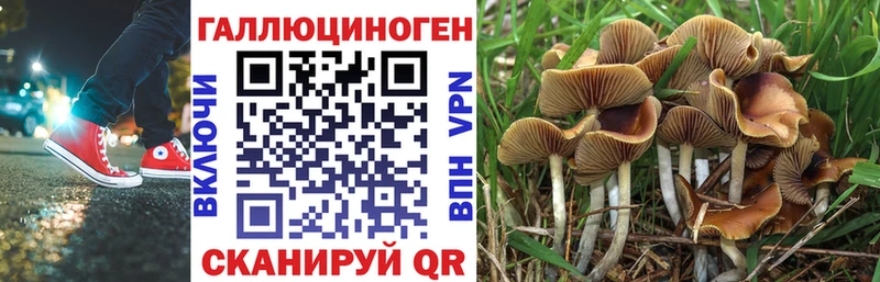 Псилоцибиновые грибы мицелий Инза